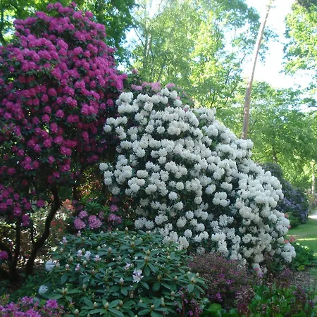 Haus Eule 7 * Graal-Mueritz