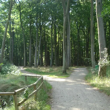 Haus Eule 7 Apartment